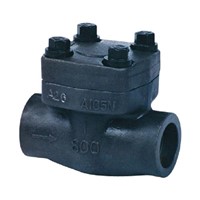 Class 800,900~1500 Forged Swing Check Valve