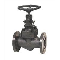 class 900~1500 flanged end forged globe valve