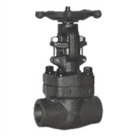 class 900~1500 forged steel gate valve