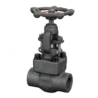 Class 900~1500 Forged Steel Globe Valve
