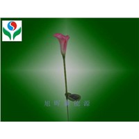 Solar Flowers Light - Calla Lily-Round