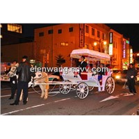 Free time tourist horse carriage with canopy