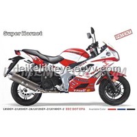 New CVT Racing Motorcycle (Super Hornet)