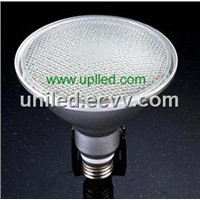 PAR38 LED Lights