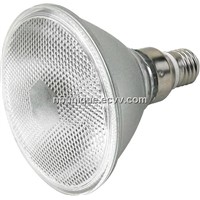 LED Lights (PAR20)