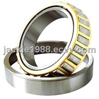 Cylindrical roller bearing (1032M)