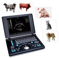 Digital Laptop Veterinary Ultrasound Scanner (BW590V)