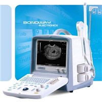 Digital Portable Veterinary Ultrasound Scanner (BW8T-VET)