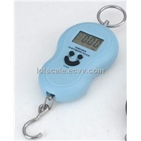 Hanging Scale (LOT-S01-blue)