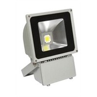 LED Projector Light - Bridgelux Chip 70W