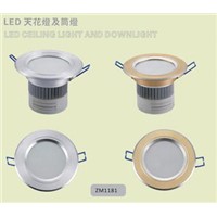 LED Downlights