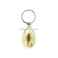 Real Insect Amber Keychains,bug keyring,cool gift