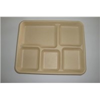 biodegradable disposable American Tray