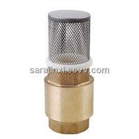 brass check valve