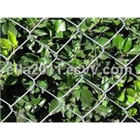 Chain Link Fence