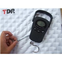 Portable Scale