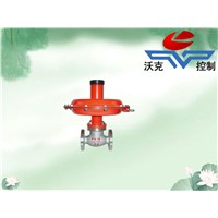 self-actuated differential pressure  control valve