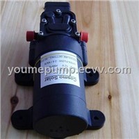 Small Electric Water Pump