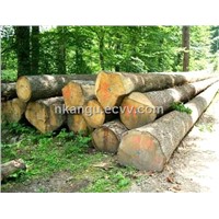 Timbers Woods