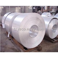 Stainless Steel Hot Rolled Coil 304