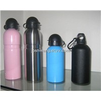 Stainless Steel Bottle