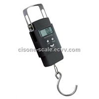 CS-1619 Hook-Shaped Scale