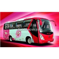 8m Passenger Bus (33 Seats)