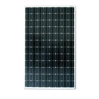 250W High Efficiency Monocrystalline Solar Panels