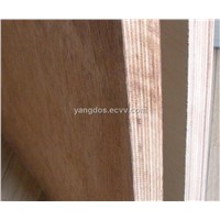 28mm container floor plywood