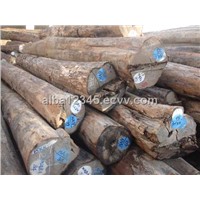 Burma teak wood for veneer