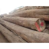 Burma teak wood for yacht