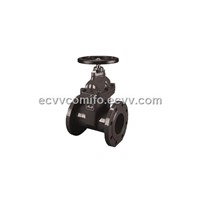 Cast Iron Resilient Seated Gate Valve Fl
