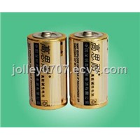 D type, LR20 1.5v Alkaline battery