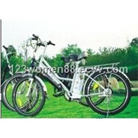 E-bicycle    TDH806Z