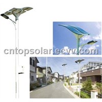 Flexible Solar Street Light (CP-SL-60)