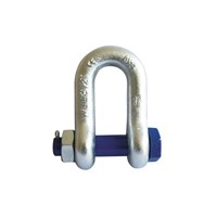 Forged Alloy Chain Shackle with Bolt Pin