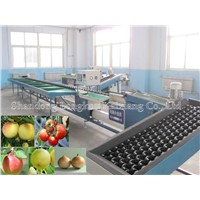 Fruit Sorting Machine Controlled by Computer