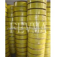 Ganglong Polyester Packing Belt - ROSH, SGS, ISO