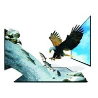 Glasses-free 3D Player, Available with 42inch, Commercial Areas and Other CBD