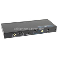 Multi-system PAL NTSC Digital Video Converter