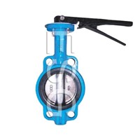 Pneumatic Butterfly Valve