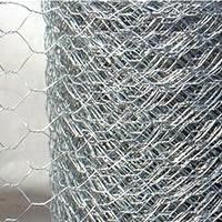 S.S Hexagonal wire netting