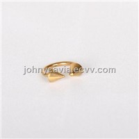 Stainless Steel Lip Rings