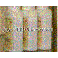 Stomach &amp;amp; Gastric Ulcer Pills