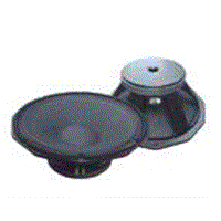 Subwoofer Speaker & Driver