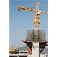 Tower Crane (TC5013)