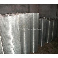 Welded Wire Mesh