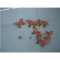 Artificial Butterfly (01)