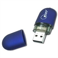 blue oem usb flash drive 1gb logo print