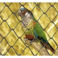 Chain Link Fence